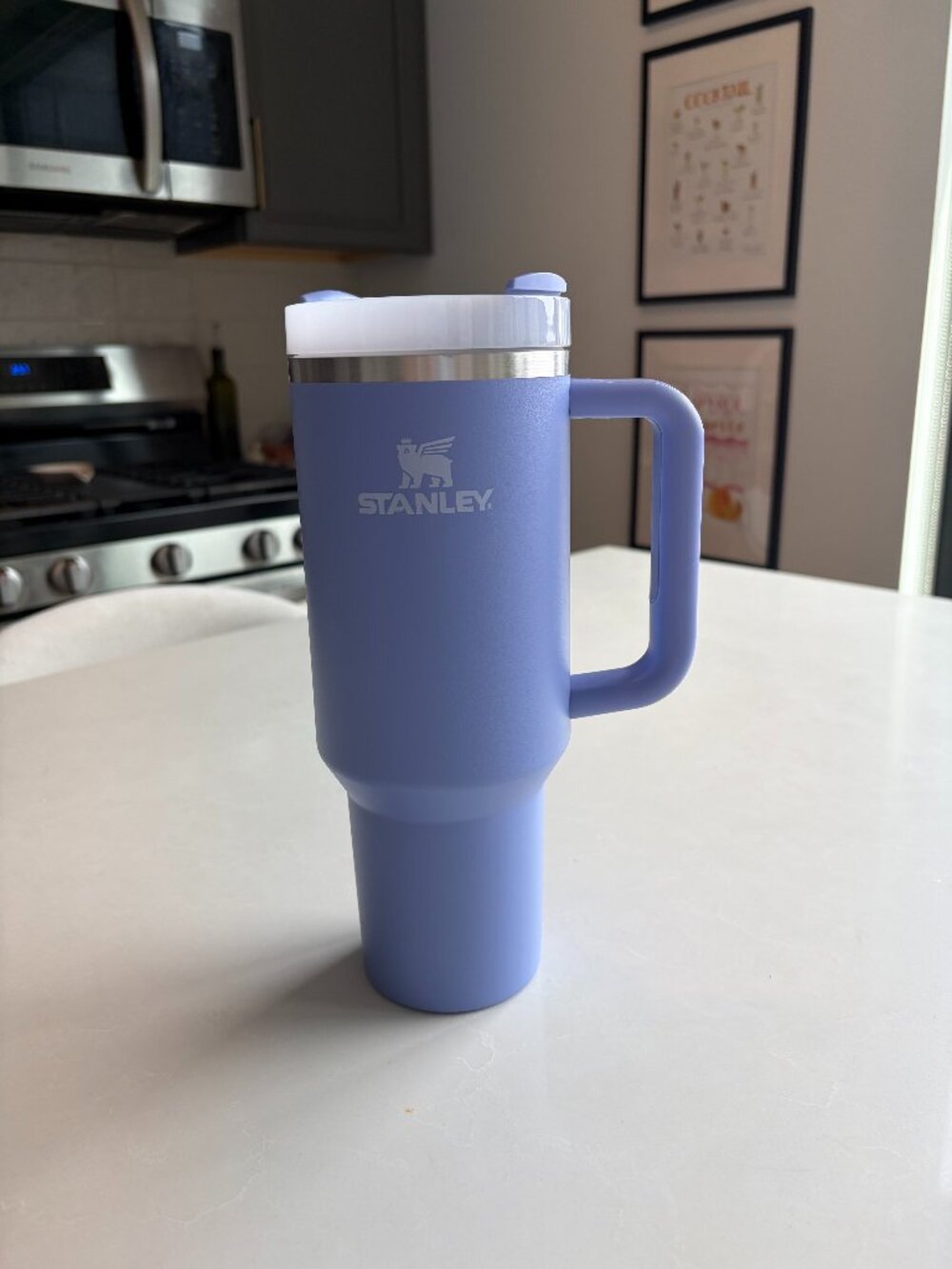 Stanley 40 oz tumbler